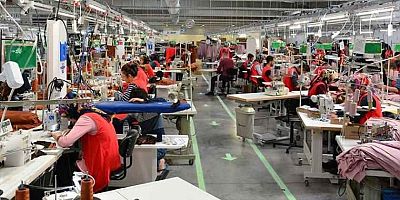 Gümüşhane İstihdam Dağılmı  Açıklandı.