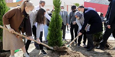 Gümüşhane Lisesinin bahçesine 16 selvi ağacı dikildi