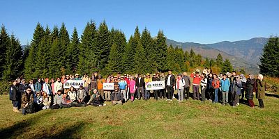 Gümüşhane Örümcek Ormanları Sonbaharda Büyülüyor