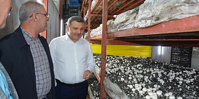 Gümüşhane OSB’de Sanayicilerle İstişare: Milletvekili Köse’den Yatırım ve İstihdam Mesajı