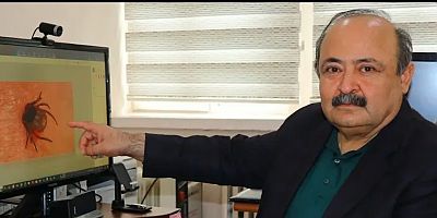 Gümüşhane ve Giresun'da Vakalar Görülmeye Başladı!