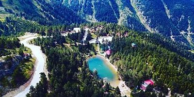Gümüşhanedeki  Orman Parkı Dağılımı 