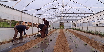 Gümüşhaneli Çiftçilere Destek Sağlandı, Üretim Arttı