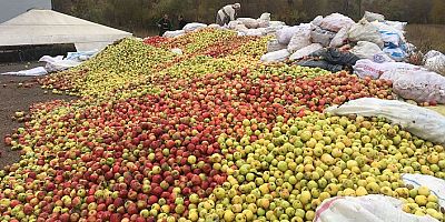 GÜMÜŞSU’dan Gümüşhane’ye ELMA teşekkürü