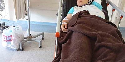 Güvende Yaylası’nda yorgun merminin isabet ettiği kadın yaralandı