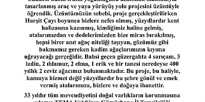 Harşit Çayı Projesine TEMA’dan Sert Tepki: “Doğaya İhanet Etmeden Gelişmek Mümkün”