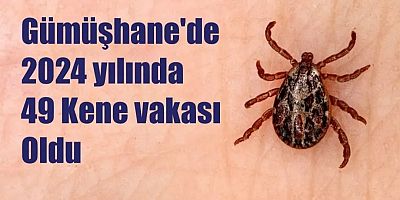 Havalar ısınıyor, kenelere dikkat !!!