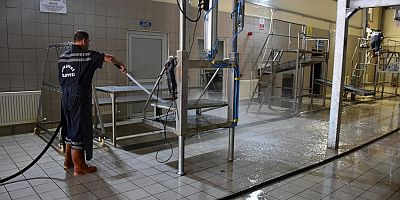 Hayvan Pazarında Tedbirler Üst Seviyeye Çıkarıldı