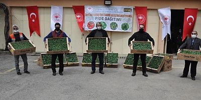 İl Özel İdaresi Destekli Fide Dağıtımı Yapıldı