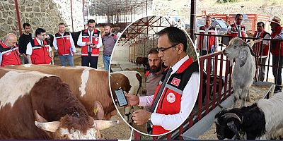 İl Tarım ve Orman Müdürü Kıraç, Kurban Satış Yerlerinde İncelemelerde Bulundu.
