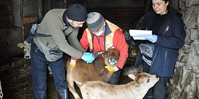 İLKBAHAR DÖNEMİ AŞILAMA KAMPANYALARI DEVAM EDİYOR