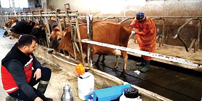 İstanbul Sanayi Odası (İSO) tarafından hazırlanan hayvancılık sektörü Doğu Karadeniz raporu yayımladı.