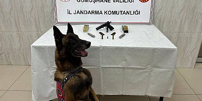 Jandarma’dan Kürtün’de ruhsatsız silah operasyonu