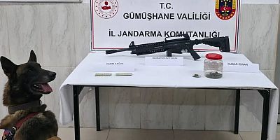 Jandarma’dan Kürtün’de Uyuşturucu Operasyonu