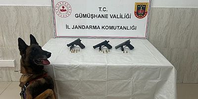Jandarma’dan ruhsatsız silah operasyonu
