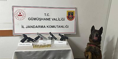 Jandarma’dan ruhsatsız silah operasyonu