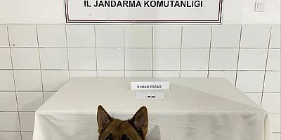 Jandarma’dan Uyuşturucu Operasyonu