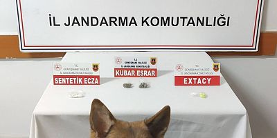 Jandarma, Rize’den Gümüşhane’ye uyuşturucu getirenleri yakaladı