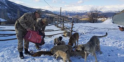 JANDARMDAN ŞEFKAT ELİ 