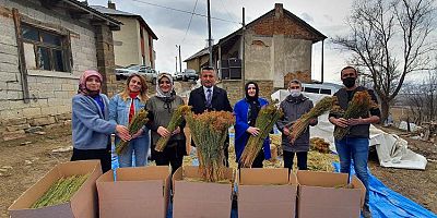 Kadınlar Üretti, Kadınlar İhraç Etti