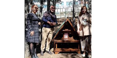 Kampüs kedilere de yuva olacak