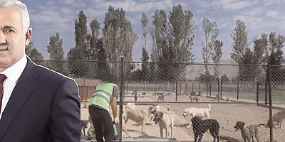 “Kamuoyuna Servis Edilmiş, Asılsız Ve Çarpıtılmış Bilgilerdir”