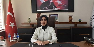 Karacasu’ya Şiranlı Kaymakam