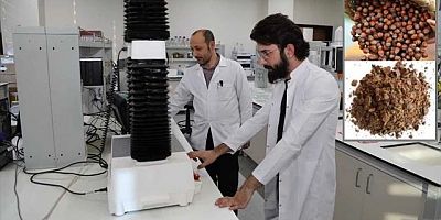 Karadeniz Fındığının Posası Yeni Bir Ürüne Dönüşüyor!