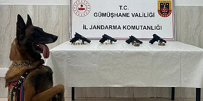Kazıkbeli Yaylası’nda 4 ruhsatsız tabanca ele geçirildi