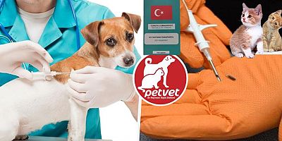 Kedi ve Köpekler Yaş Ayrımı Gözetmeksizin 31 ARALIK 2025 Tarihine Kadar Kimliklendirilecek