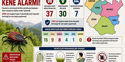 Kelkit'de Kene Alarmı: 37 Kişi Hastaneye Kaldırıldı