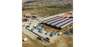 Kelkit hayvan pazarı şap hastalığı riski nedeniyle kapatıldı