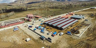 Kelkit Hayvan Pazarı Yeniden Açılıyor
