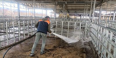 Kelkit Hayvan Pazarında Hijyen Çalışmaları Tamamlandı