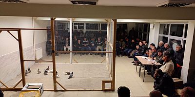 Kelkit'te 11. Geleneksel Güvercin Festivali düzenlendi