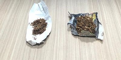 Kelkit’te bonzai ele geçirildi