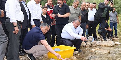Kelkit’te Doğaya Keklik ve Alabalık Salımı Gerçekleştirildi