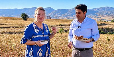 Kelkit’te Karabuğdaya Sahrap Soysal Desteği