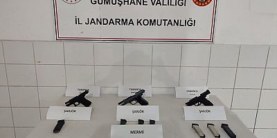 Kelkit’te ruhsatsız silah operasyonu: 