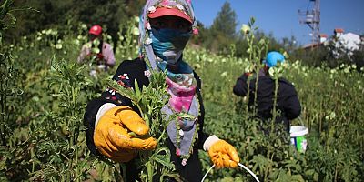 Kelkit’te Tarımı Destekleme ve Pazarlama Kooperatifi İçin İlk Adım Atıldı