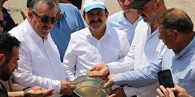 Kelkit’te TMO Alımları Resmen Başladı