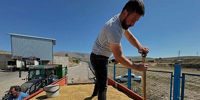Kelkit Toprak Mahsulleri Ofisi Hububat Alımına Başladı