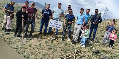 Kelkit Türk Eğitim-Sen'den Hatıra Ormanı