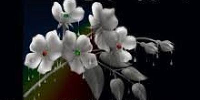 KEMAL KARA HAKKIN RAHMETİNE KAVUŞMUŞTUR.