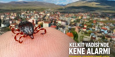 Kene Vakaları Artıyor, Riskli Bölgeler İçin Dikkat Çağrısı
