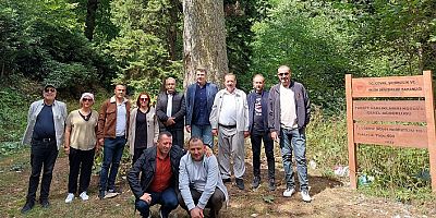 Kent Konseyi turizm için Kürtün’ün zirvelerinde
