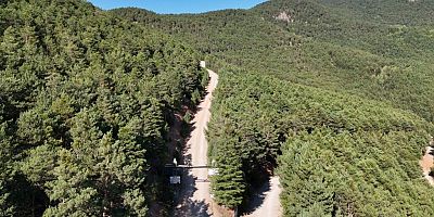 Kent ormanı yolunda mutlu eden haberi Vali Tanrısever verdi
