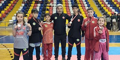 Kickboksta Kelkit Rüzgârı: Minikler ve Yıldızlardan Büyük Zafer