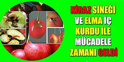 KİRAZ SİNEĞİ VE ELMA İÇ KURDU İLE MÜCADELE ZAMANI 