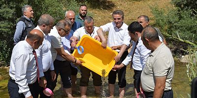 Kırmızı Benekli Alabalıkların Doğaya Salındı
